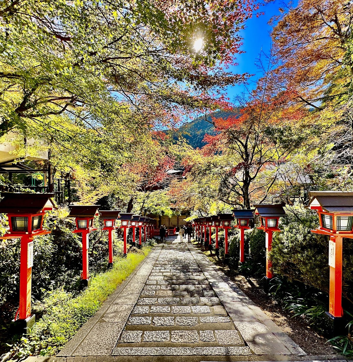 【名探偵コナン｜迷宮の十字路】鞍馬寺(京都)聖地巡礼ガイド