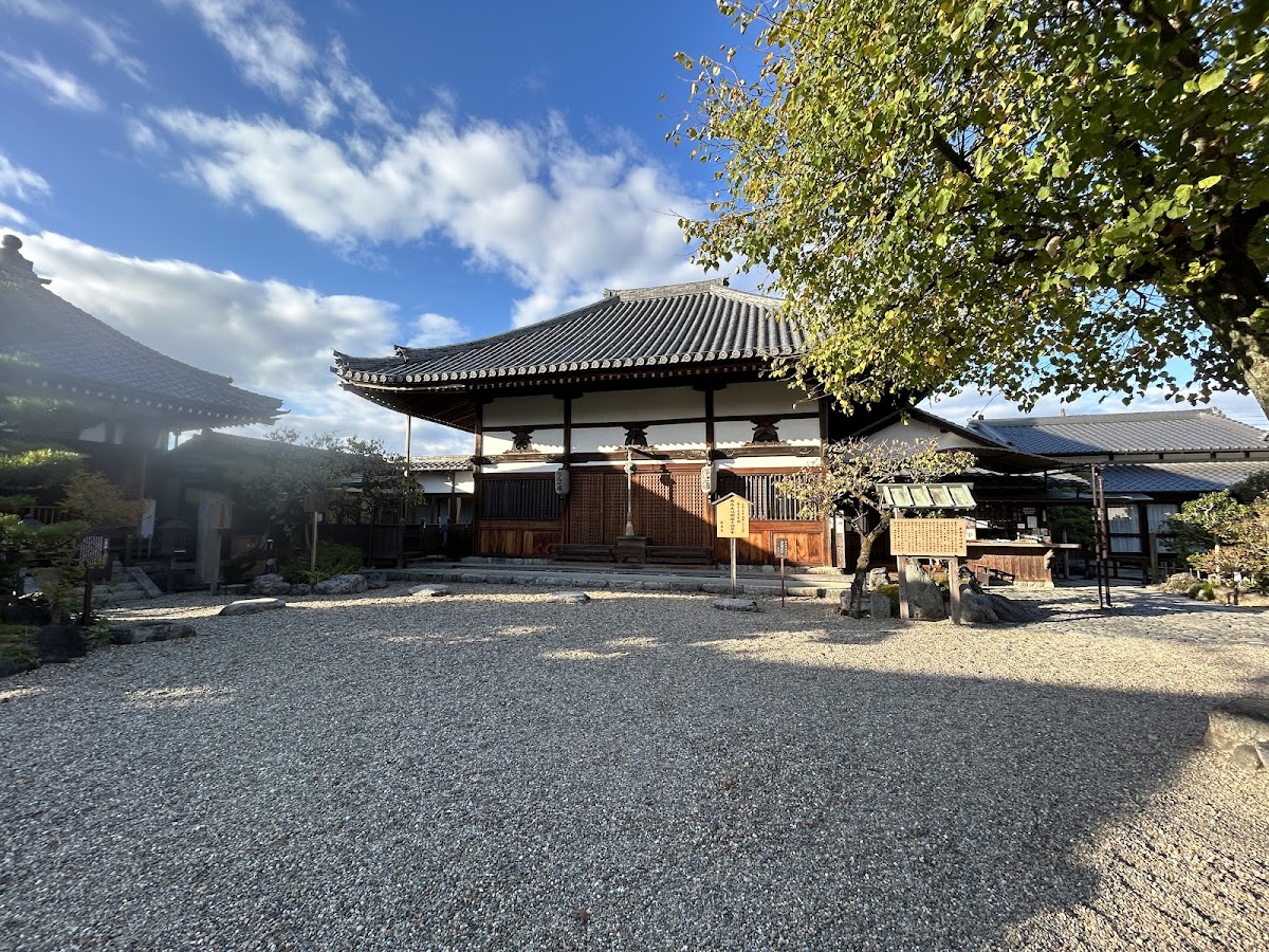 【名探偵コナン】水平線上の陰謀-飛鳥(奈良)