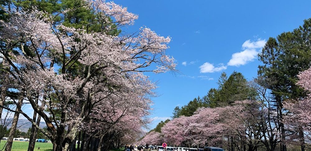 薄桜鬼 真改 北海道 聖地巡礼