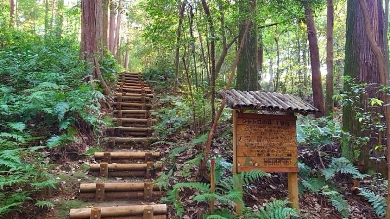 となりのトトロ 埼玉県所沢市
