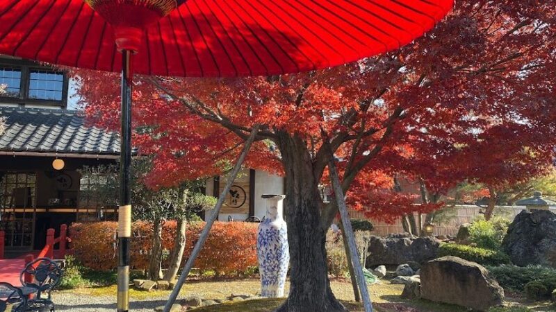 のんのんびより 茨城県