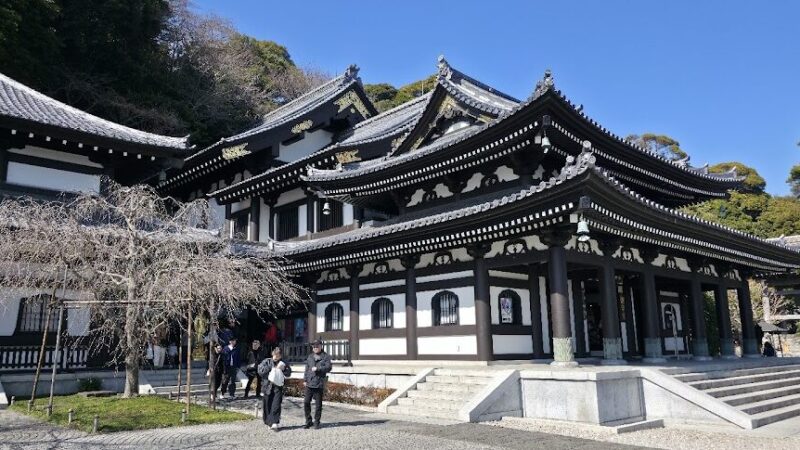 ハナヤマタ 神奈川県鎌倉市