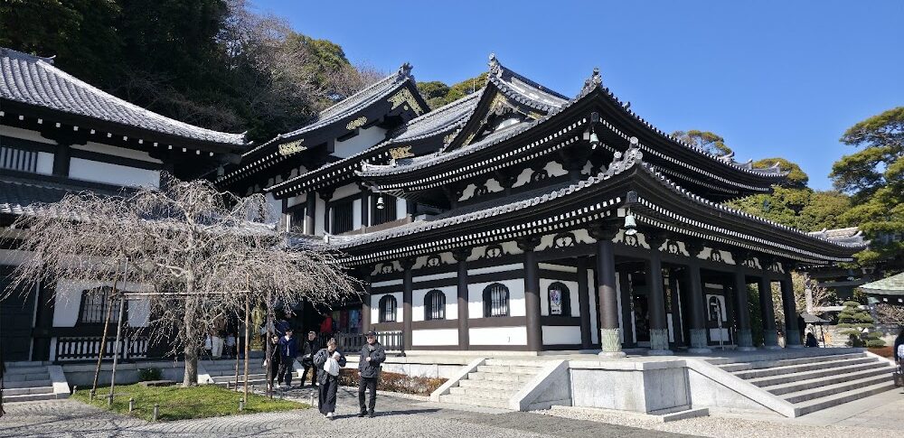 ハナヤマタ 神奈川県鎌倉市