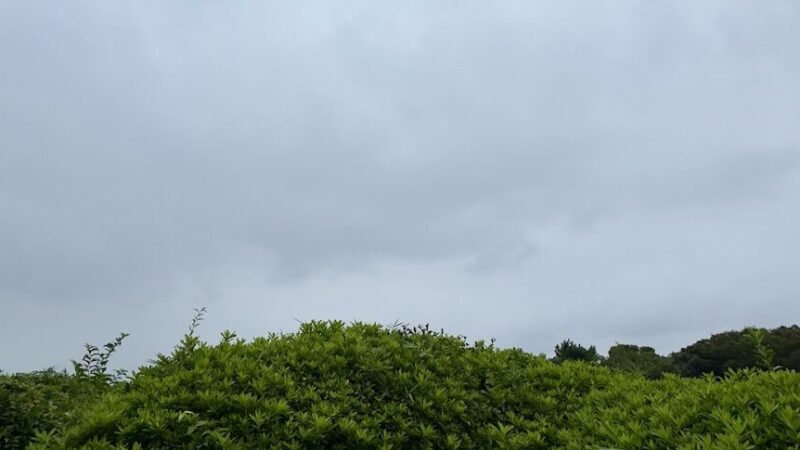 コクリコ坂から 神奈川県横浜市