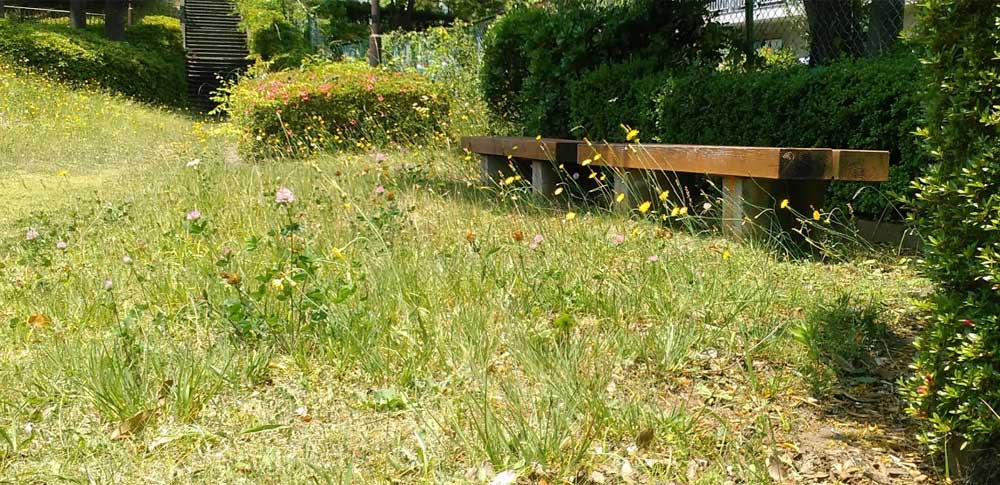 【スタジオジブリ】平成狸合戦ぽんぽこ-多摩ニュータウン(東京都)