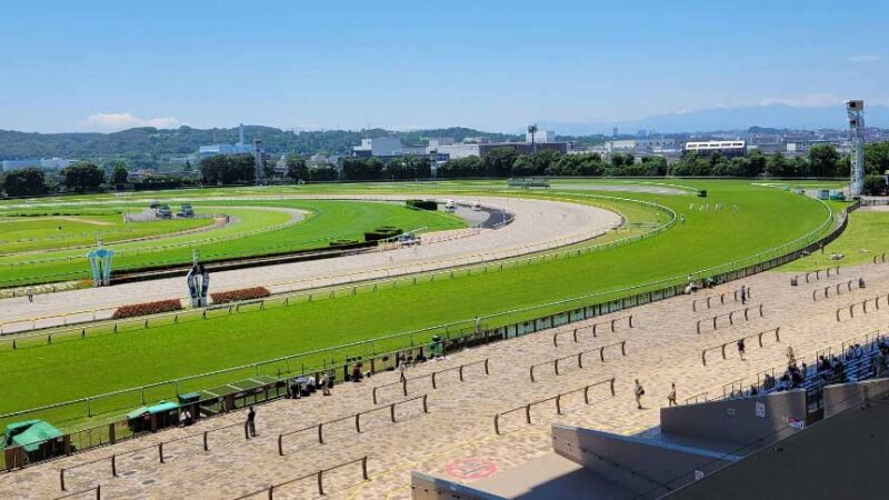 【ウマ娘 プリティーダービー】東京競馬場・正門通路(東京都)