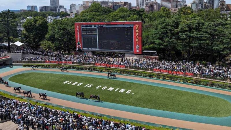 【ウマ娘 プリティーダービー】東京競馬場・フジビュースタンド（パドック側）(東京都)