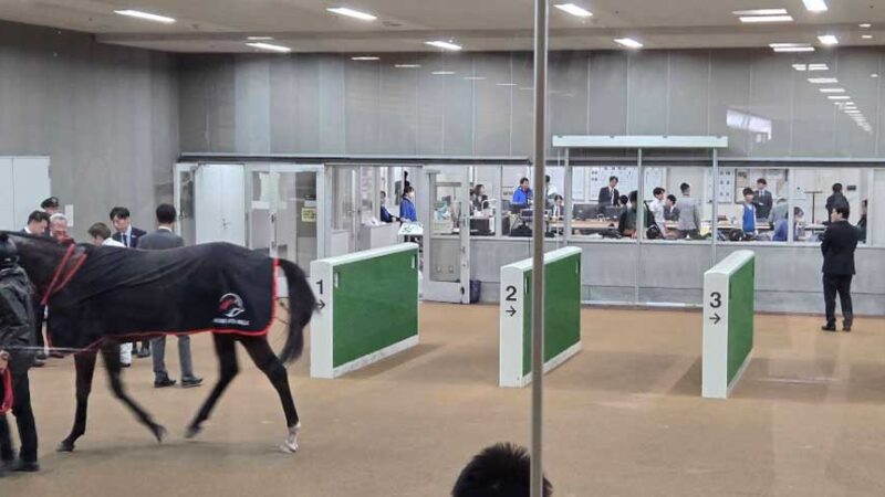 【ウマ娘 プリティーダービー】東京競馬場・ホースプレビュー(東京都)