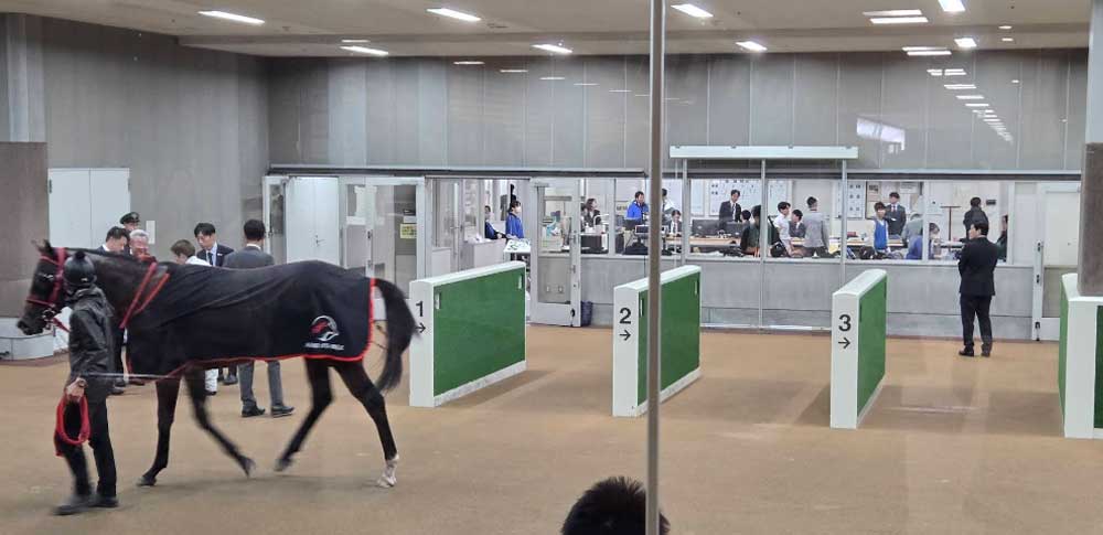 【ウマ娘 プリティーダービー】東京競馬場・ホースプレビュー(東京都)