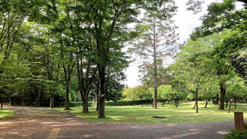 【ウマ娘 プリティーダービー】府中の森公園(東京都)