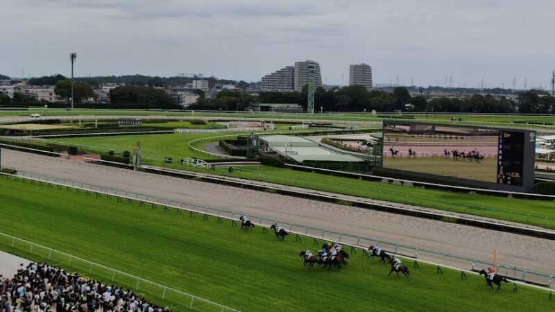 【ウマ娘 プリティーダービー】中山競馬場・中央門(千葉県)