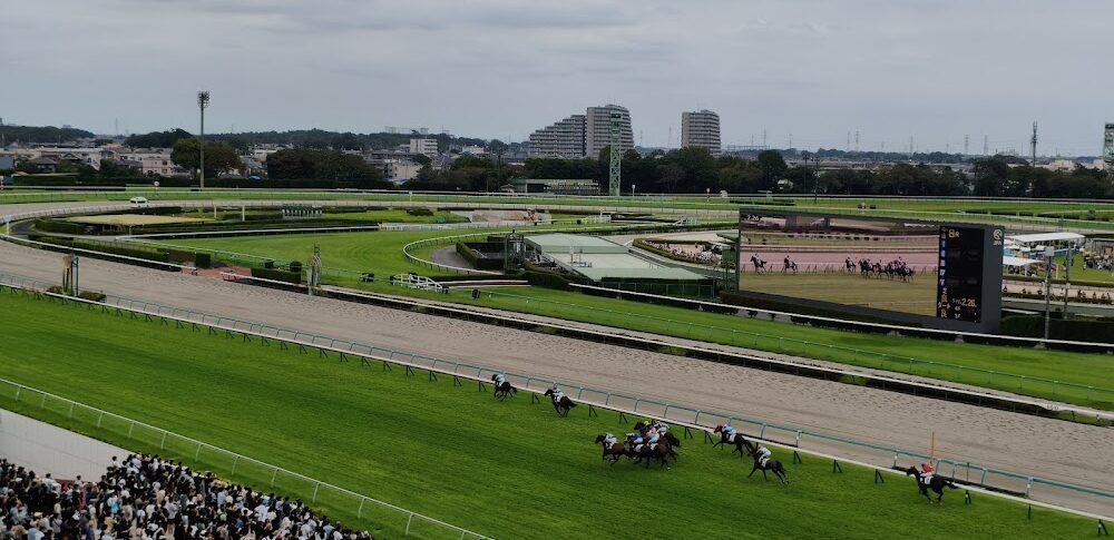 【赛马娘 Pretty Derby】中山赛马场·正门(千叶县)