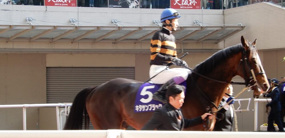 【ウマ娘 プリティーダービー】阪神競馬場・ウイナーズサークル付近(兵庫県)