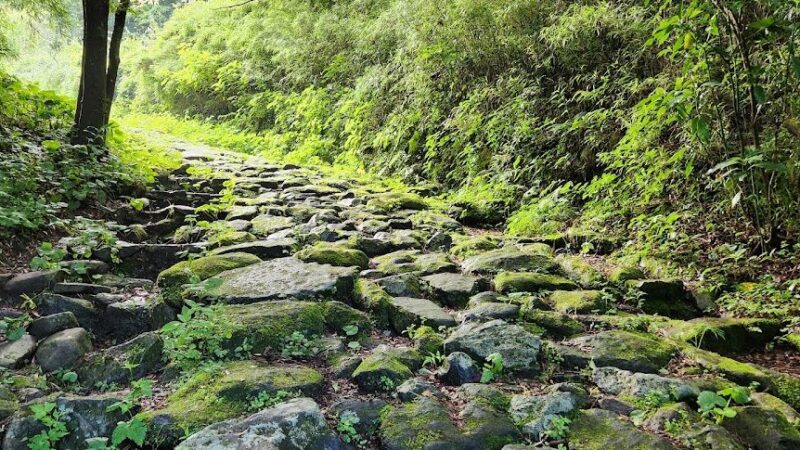 【弱虫ペダル】 神奈川県藤沢市