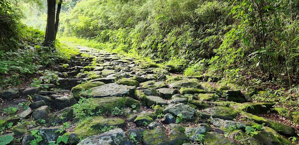 【弱虫ペダル】 神奈川県藤沢市