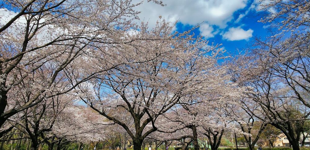 【女子高生の無駄づかい】 東京都東村山市