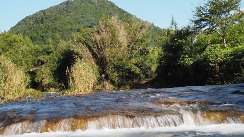 【負けヒロインが多すぎる!】 愛知県豊橋市